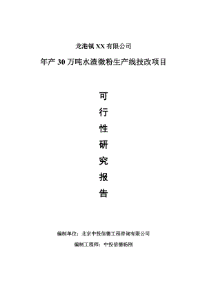 年产30万吨水渣微粉生产线技改项目可行性研究报告申请报告.doc