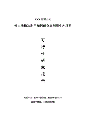 锂电池梯次利用和拆解分类利用生产项目可行性研究报告建议书案例.doc