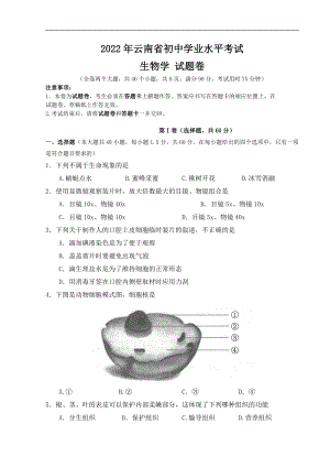 （中考试卷）2022年云南省中考生物真题（word版；含答案）.docx