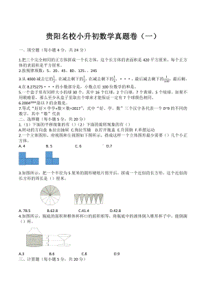 小升初数学真题卷（试题）-六年级下册数学人教版.docx