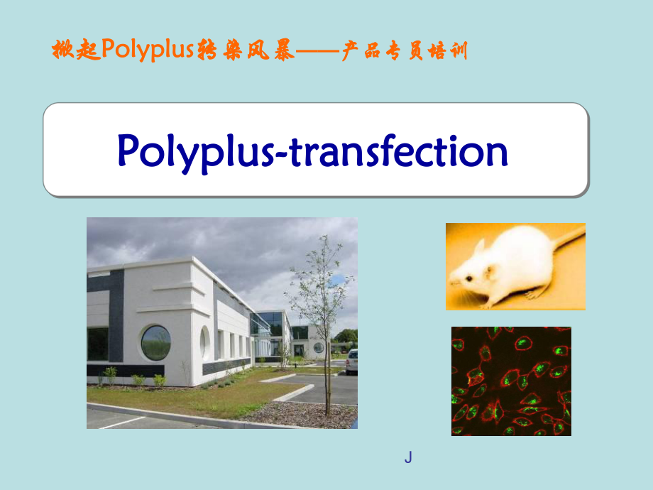 细胞转染试剂产品销售专员培训资料课件.ppt_第1页