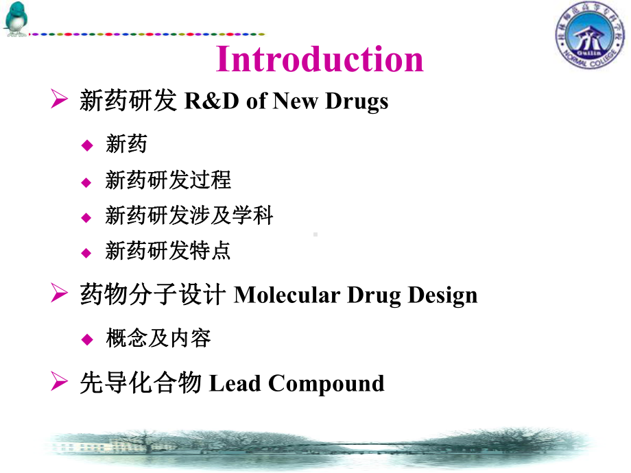 新药研究概论解说课件.ppt_第3页