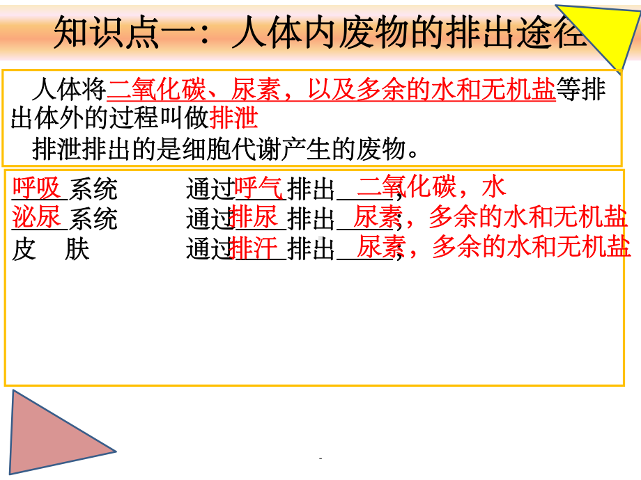 人体内废物的排出复习ppt课件.ppt_第1页