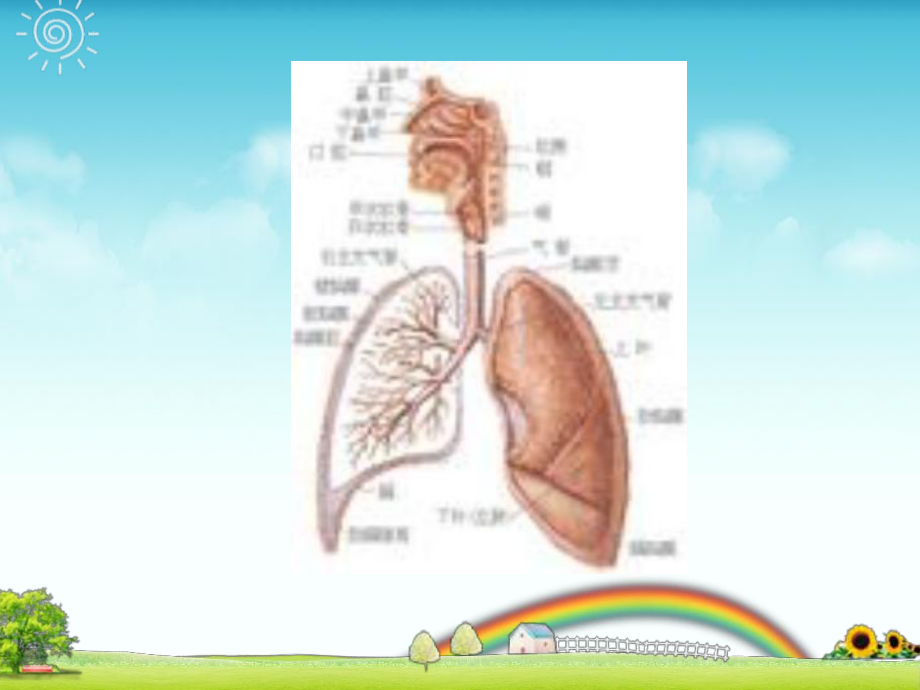 秋季常见传染病预防主题班会课件.ppt_第3页