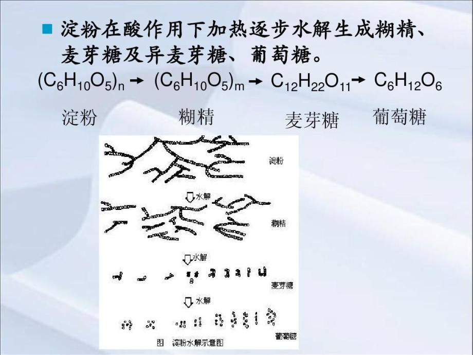 生物质材料及应用-淀粉109页PPT课件.ppt_第3页