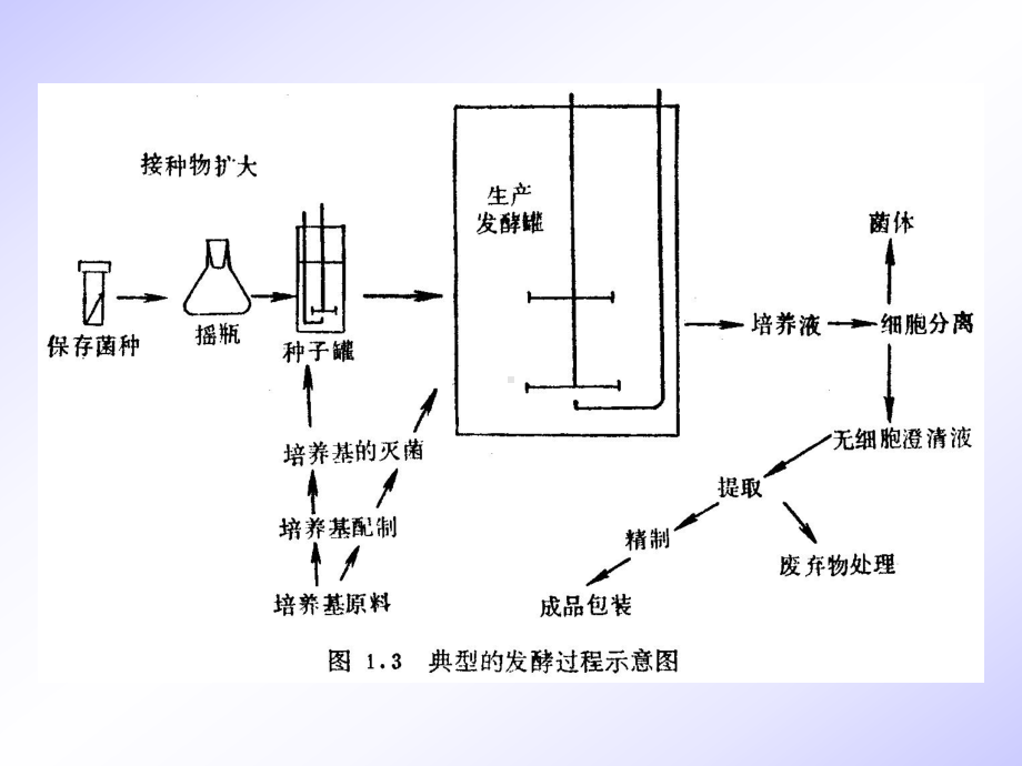 第四章微生物发酵动力学KineticsofMic课件.ppt_第1页