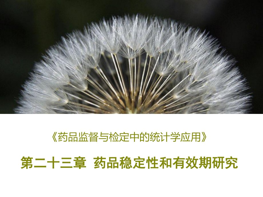 药品稳定性和有效期研究.课件.ppt_第1页