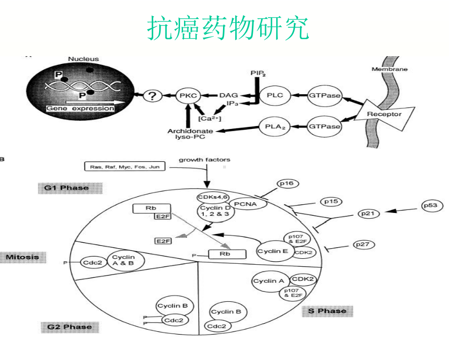 抗癌药物研究进展-图文课件.ppt_第1页