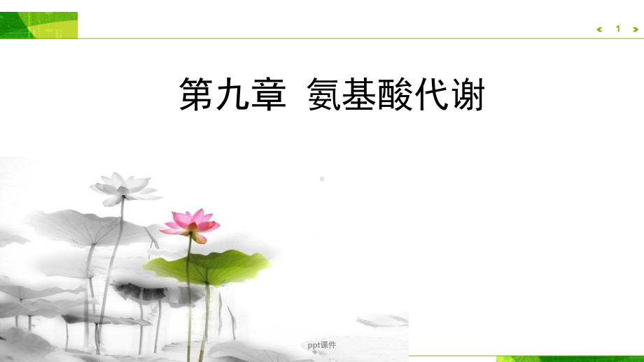 《生物化学与分子生物学》氨基酸代谢(第8版)-课件.ppt_第1页