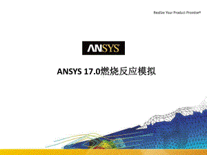 ANSYS燃烧反应模拟介绍课件.pptx