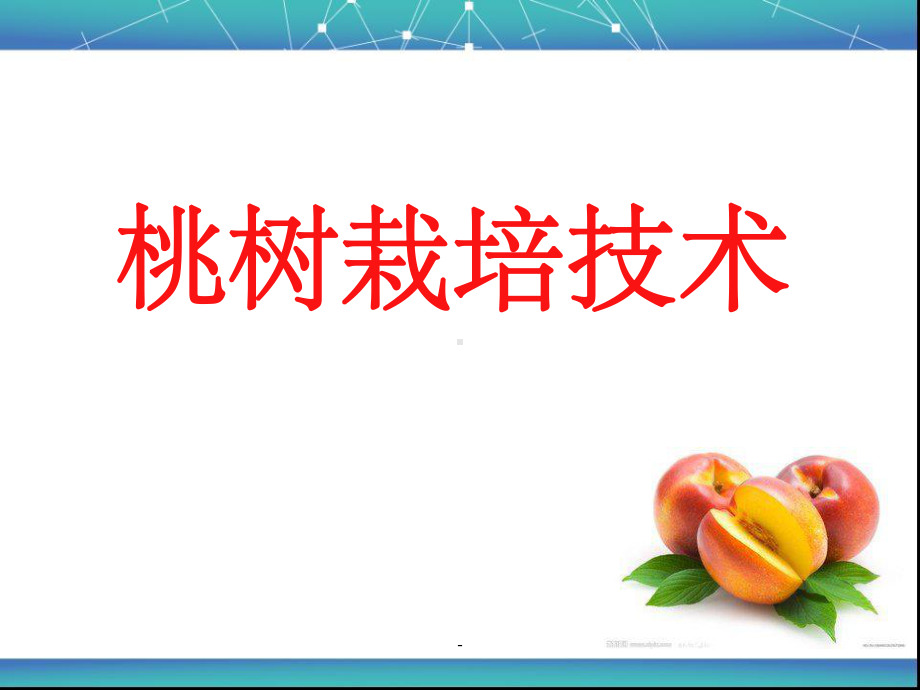 桃树栽培技术课件.ppt_第1页