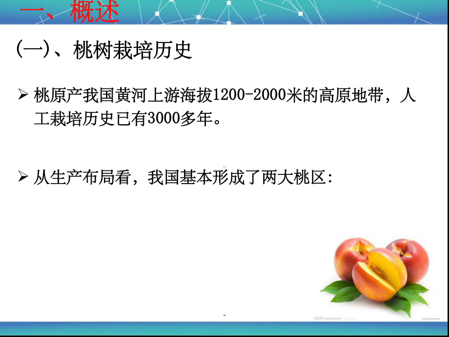 桃树栽培技术课件.ppt_第3页