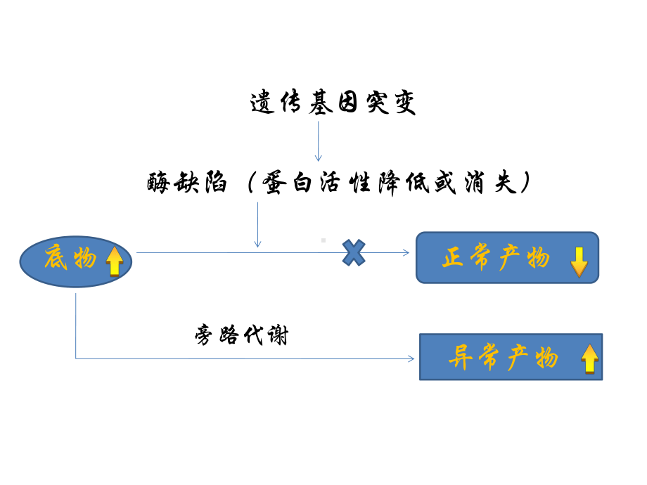 血氨基酸肉碱谱及尿有机酸谱课件.ppt_第3页