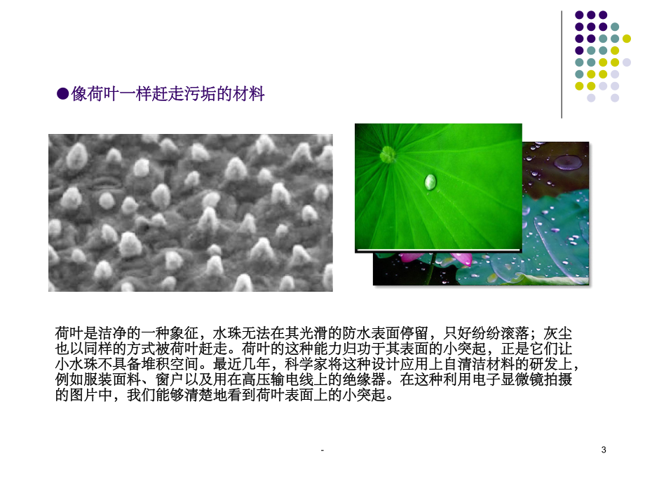 仿生设计赏析课件.ppt_第3页