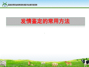 56发情鉴定的常用方法.课件.ppt