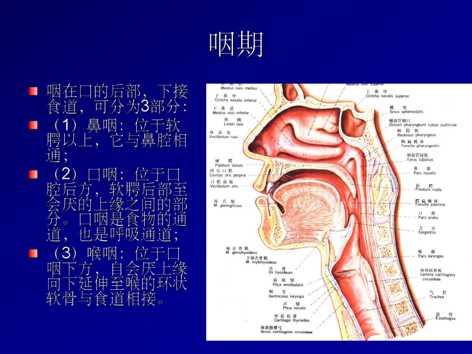 食道球囊扩张术经验分享ppt课件.ppt_第3页