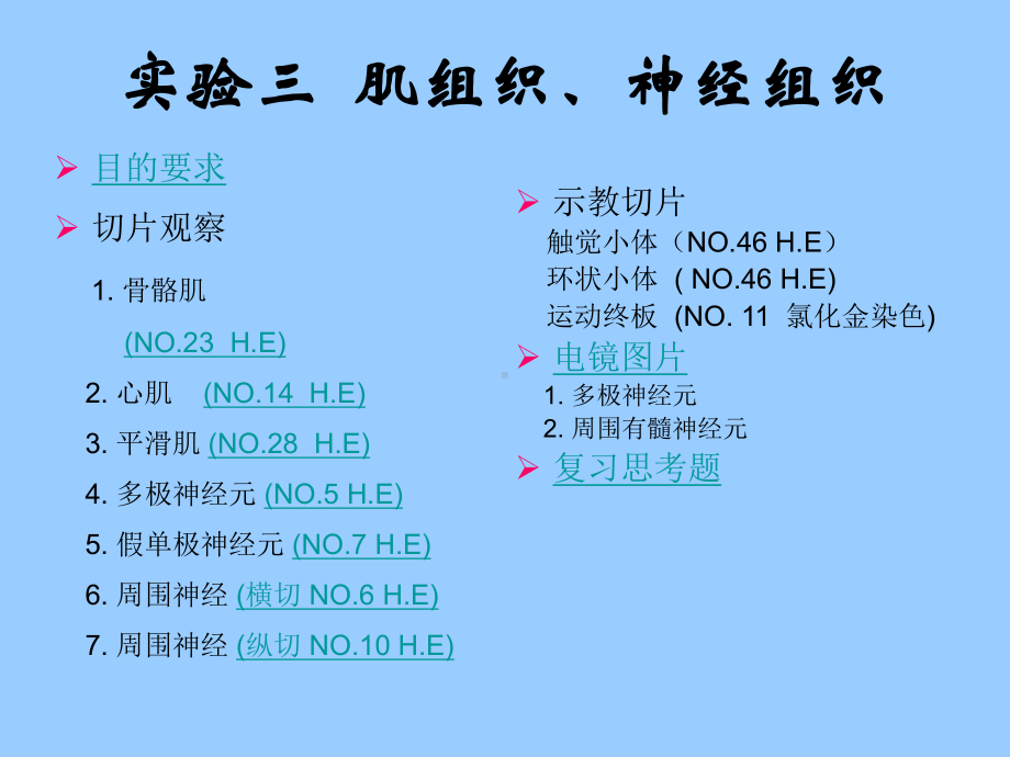 实验3肌组织和神经组织课件.ppt_第1页