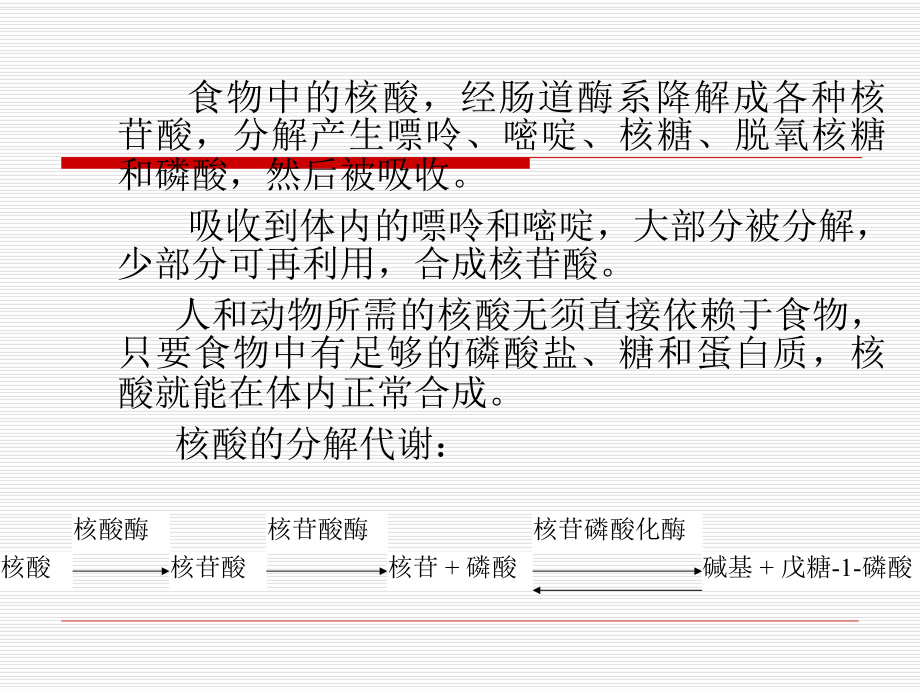 第十二章核苷酸代谢核苷酸的生物功能①合成核酸②是多种课件.ppt_第2页