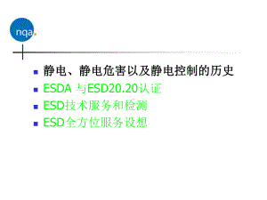 ESD-市场版-090606-46页精选文档课件.ppt