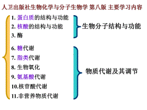 第十四章 DNA的生物合成(复制)2013-12-1课件.ppt