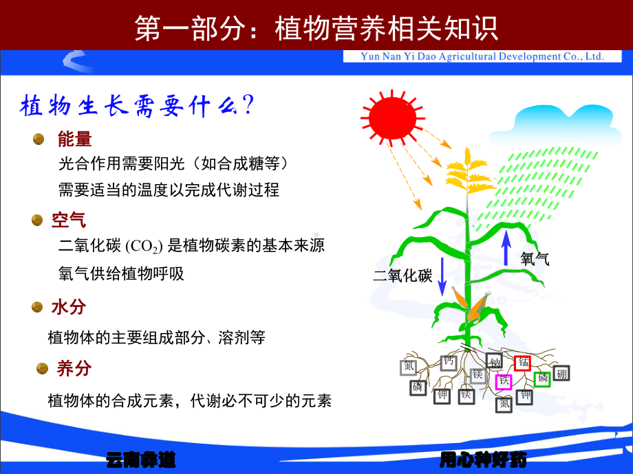 第三部份：植物营养学基础课件.pptx_第2页