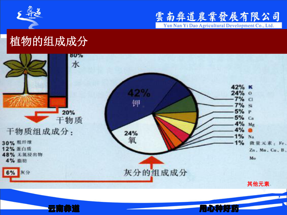 第三部份：植物营养学基础课件.pptx_第3页