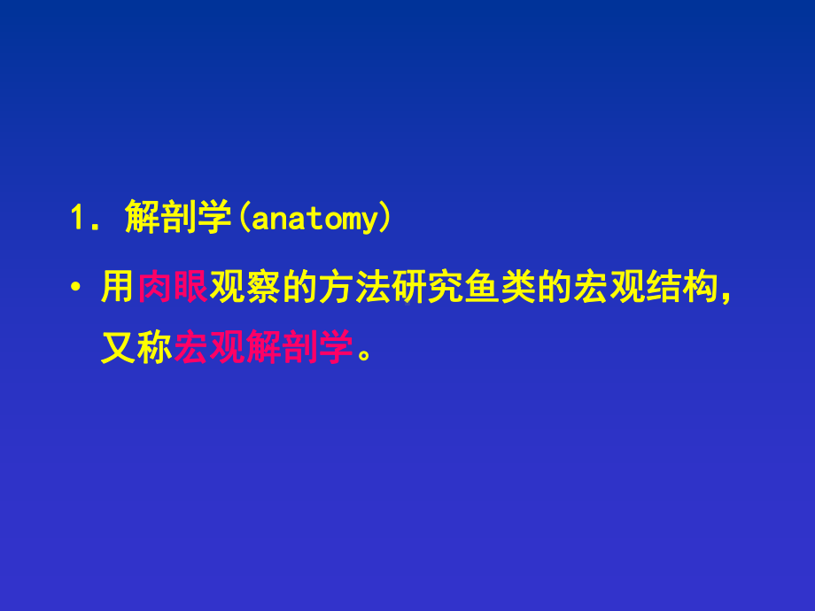 鱼类的比较组织解剖课件.ppt_第3页