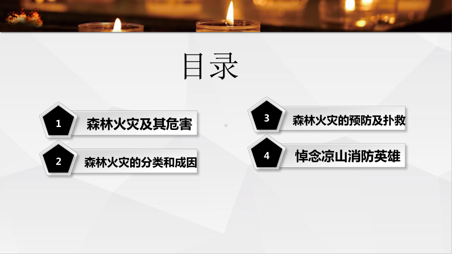 简约大气悼念凉山森林火灾牺牲的英雄消防员们模板课件.pptx_第3页