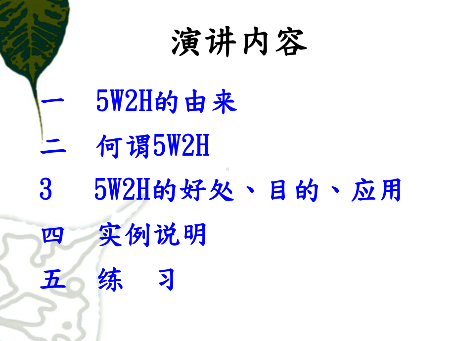 5W2H方法简介(演讲版)课件.ppt_第2页