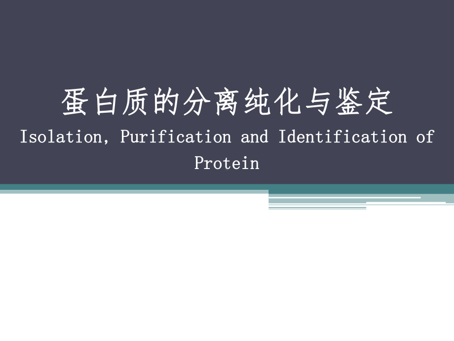 蛋白质纯化技术课件.ppt_第1页