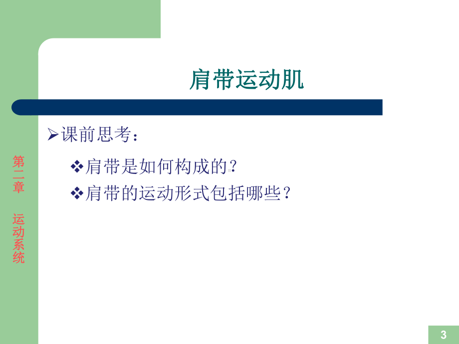 运动解剖学-骨骼肌位置形态课件.ppt_第3页