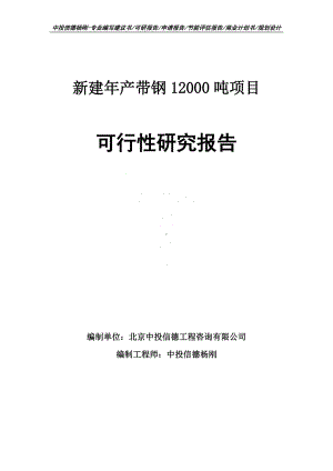 新建年产带钢12000吨项目可行性研究报告建议书申请备案.doc