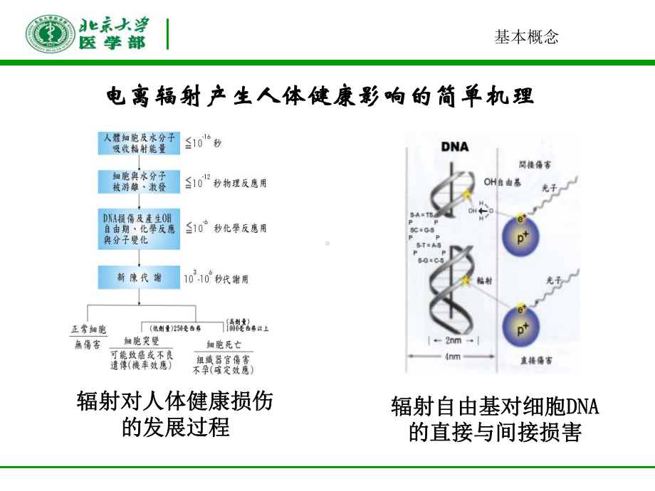 辐射剂量定义课件.ppt_第3页