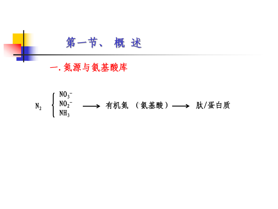 蛋白质降解及氨基酸代谢课件.ppt_第3页