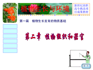 02 植物组织和器官课件.ppt