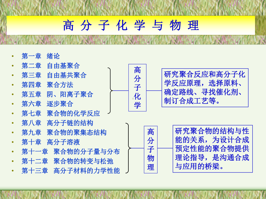 （资料）高分子化学与物理汇编课件.ppt_第2页