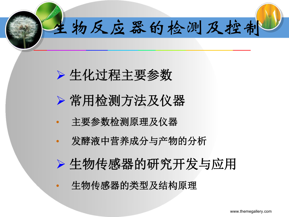 第十章生化过程参数检测课件.ppt_第2页