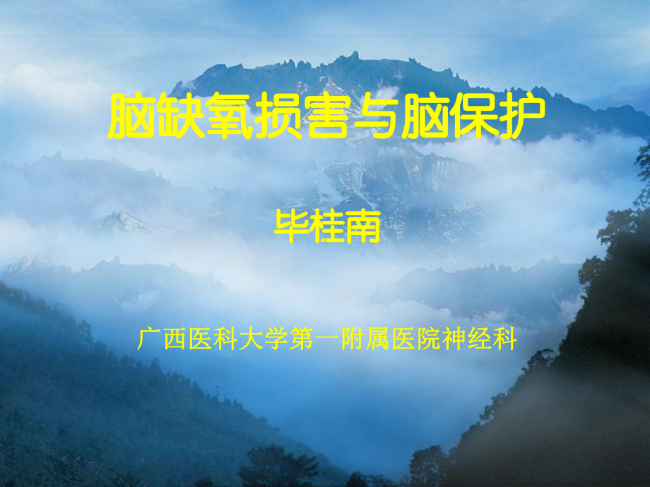 脑缺氧损害与脑保护课件.ppt_第1页