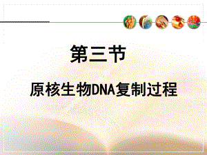 七科联考-生物化学-第十四章DNA的生物合成(2)课件.ppt