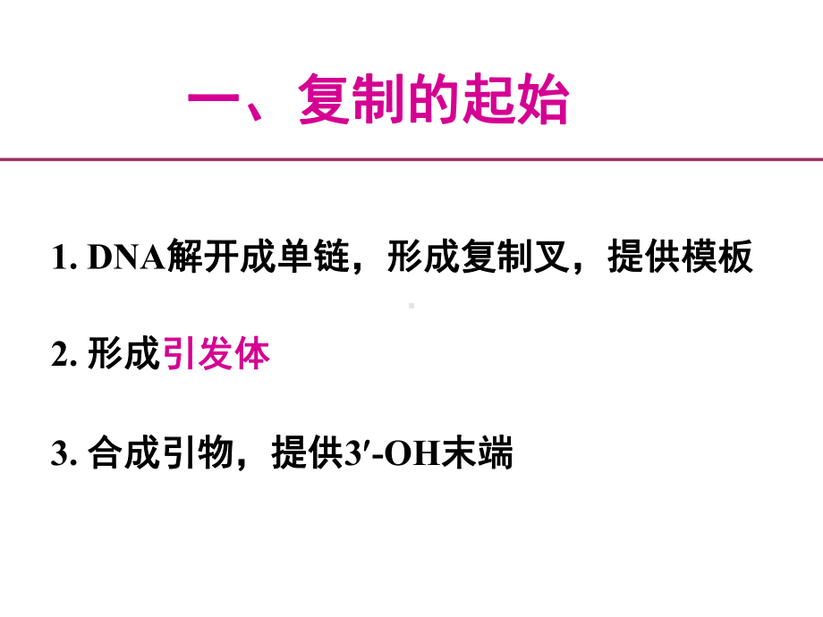 七科联考-生物化学-第十四章DNA的生物合成(2)课件.ppt_第3页