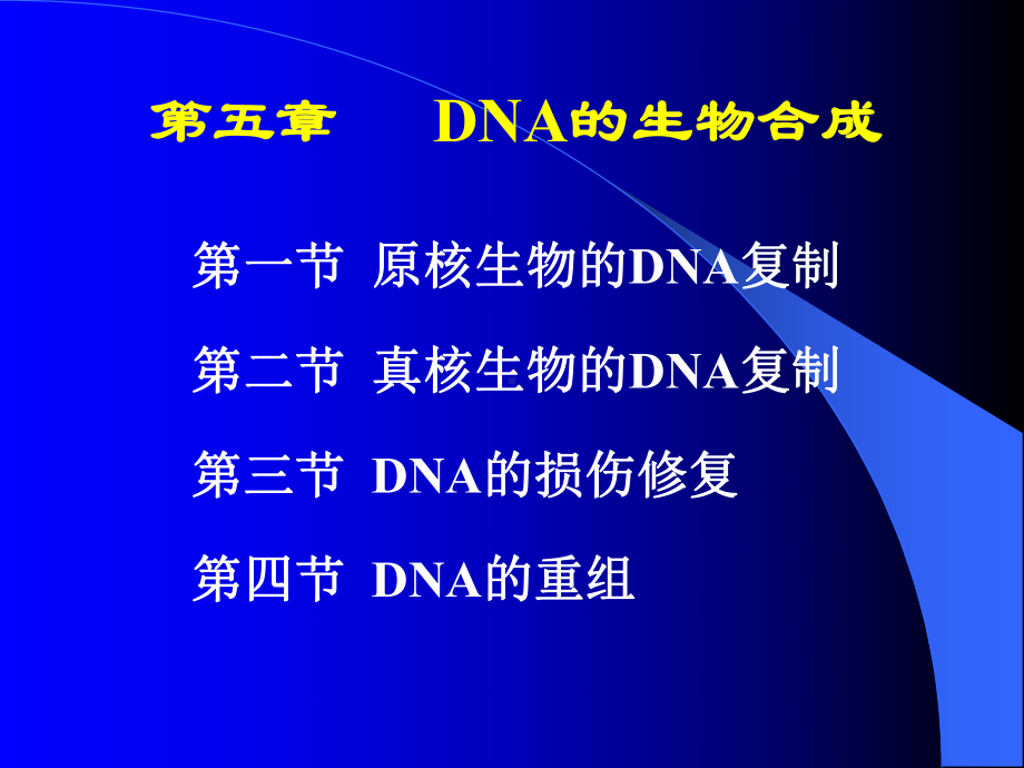 第五章DNA生物合成课件.ppt_第1页