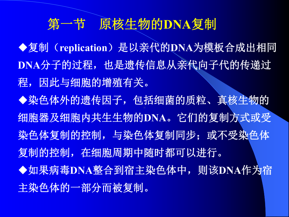 第五章DNA生物合成课件.ppt_第3页