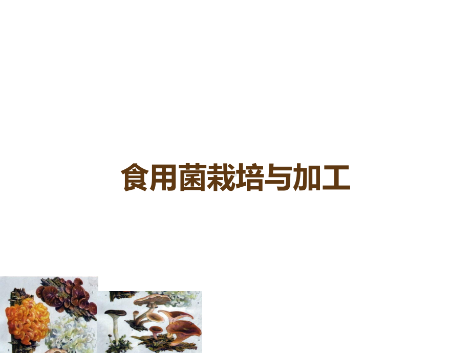 食用菌栽培与加工课件.ppt_第1页