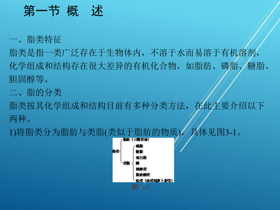 食品生物化学第三章-脂类与食品加工课件.pptx_第2页