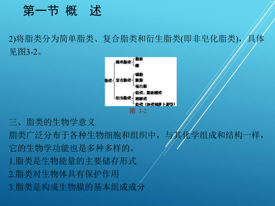 食品生物化学第三章-脂类与食品加工课件.pptx_第3页