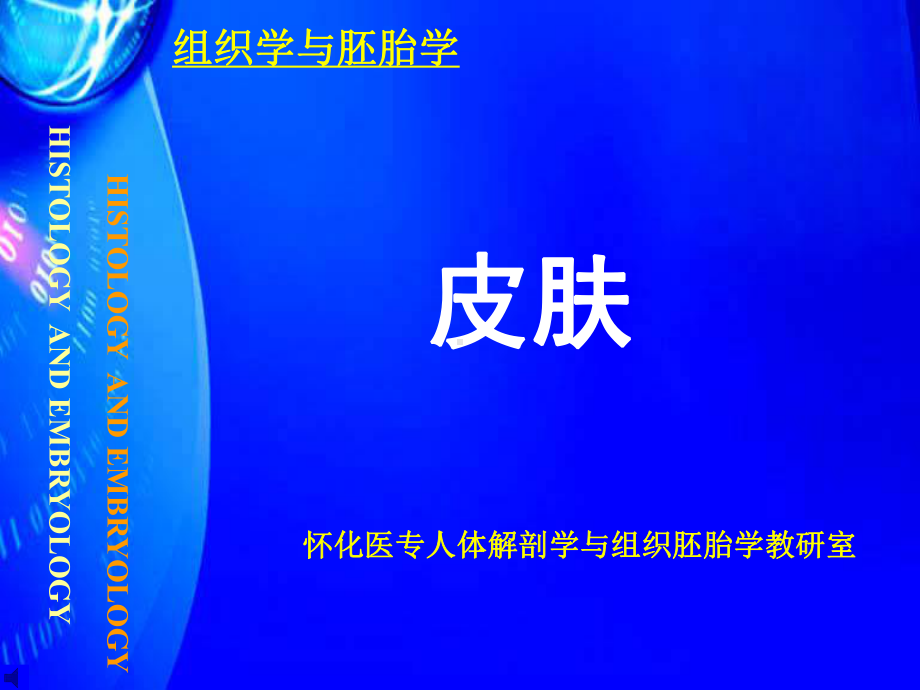 组织学与胚胎学 皮肤1课件.ppt_第1页