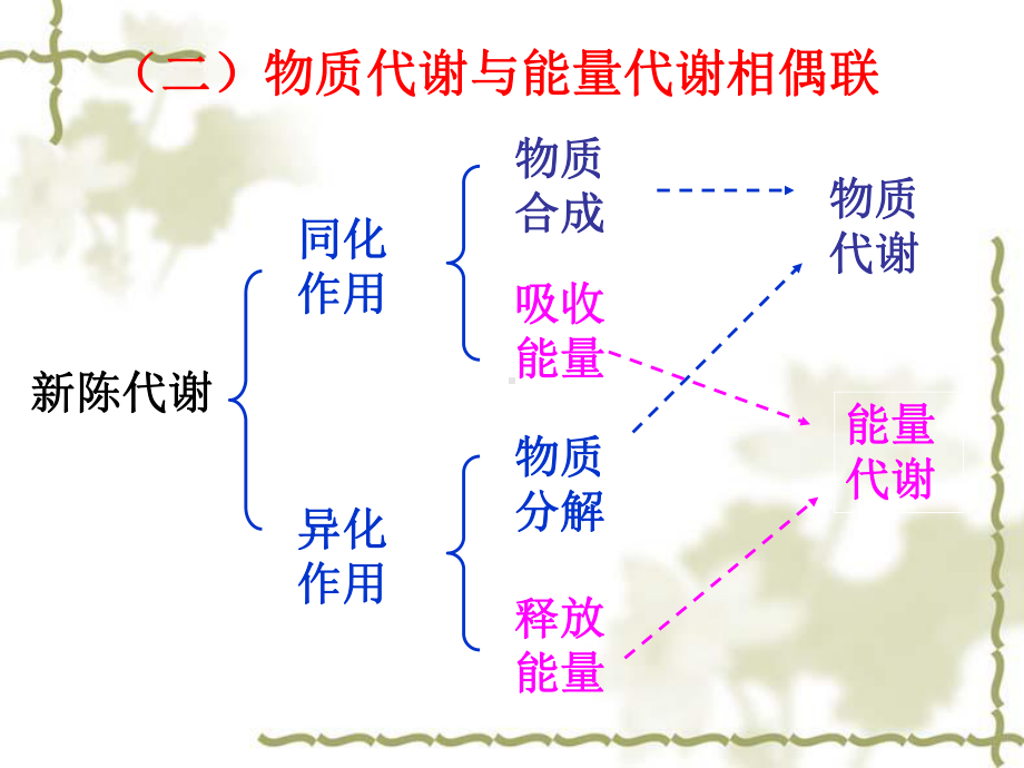 物质代谢的联系与调课件.ppt_第3页