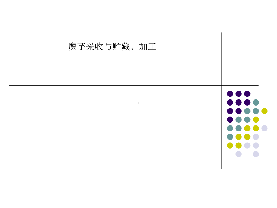 魔芋采收与贮藏、加工课件.ppt_第1页