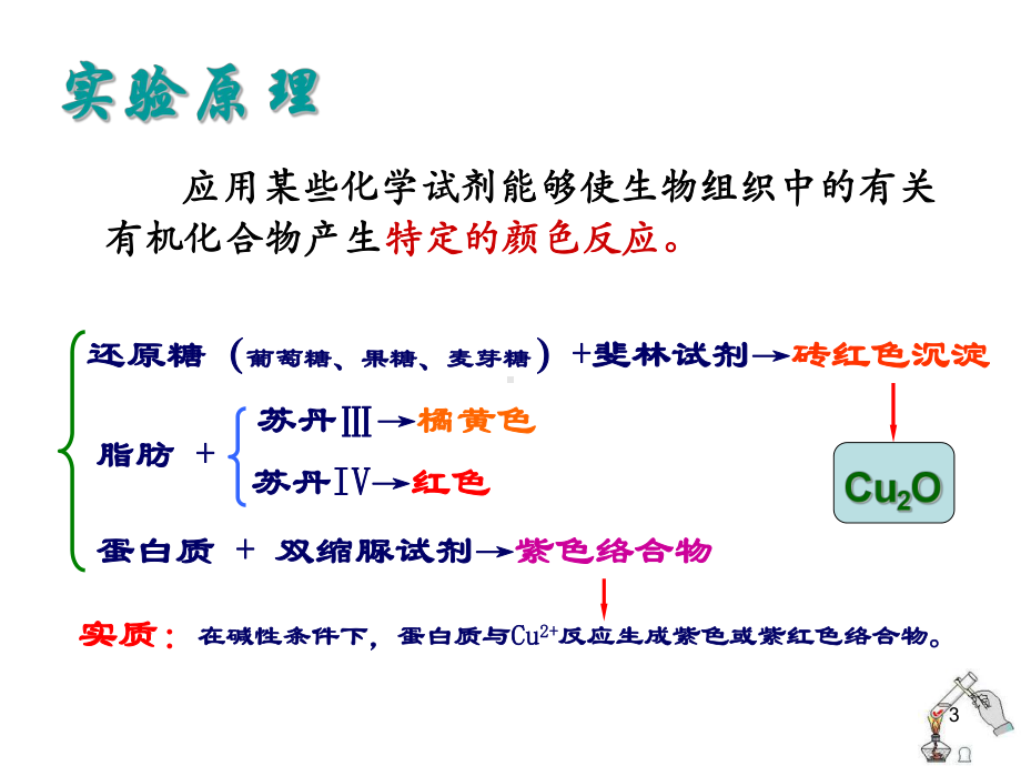 生物必修一-实验：检测生物组织中的糖类-脂肪和课件.ppt_第3页