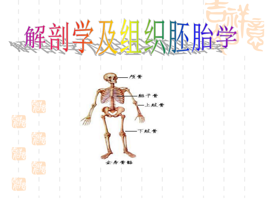 解剖学第三章运动系统(骨连结)资料课件.ppt_第1页